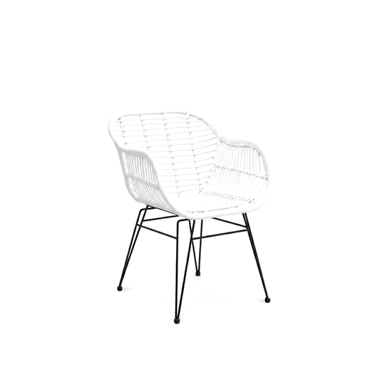 Aura Amarilla: Dining Chair