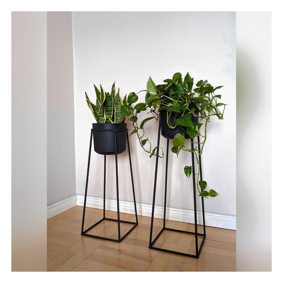 Oro Prism 3 – Portamatera Negro Elevado