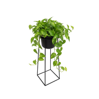 compare product Prism: Plant Stand